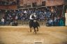 Palio Straordinario: la fotogallery delle Prove di Addestramento Mattutine